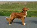 Wilda