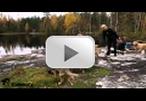 Watch video in YouTube