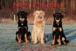 Merry X-mas!