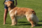 Juno