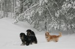 Spring 2011